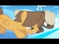 Rainbow Dash : The Fastest Horse in a One Horse Town