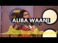Aliba Waani - Naava Grey (Official Audio)