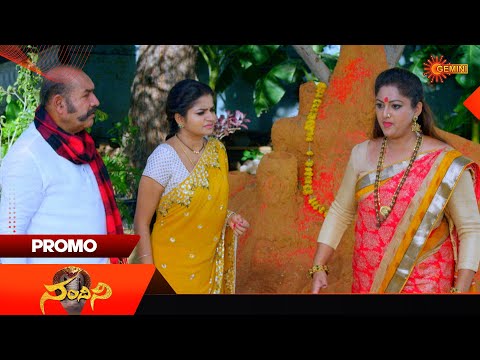 Nandini- Promo | 19 Dec 2025 | Telugu Serial | Gemini TV
