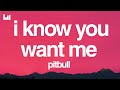 Pitbull I Know You Want Me Lyrics