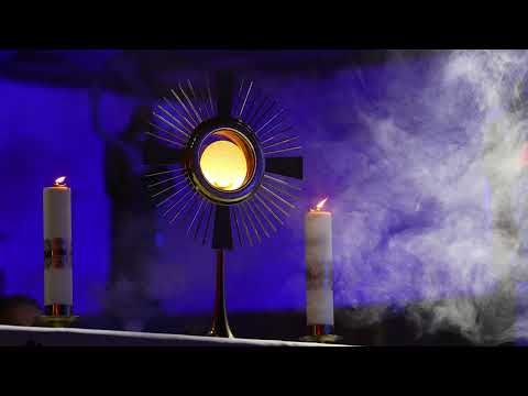 Slavilna skupina Veselje - Umiri se človek