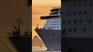Freedom of the Seas 🛳️ #royalcaribbean #travel #cruiseship #cruise #vacation #shorts #travelshorts
