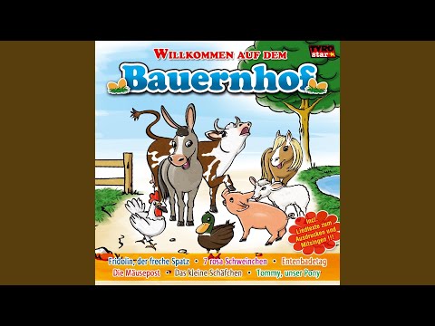 Frühstückseierschafwolllied (Radio Version)