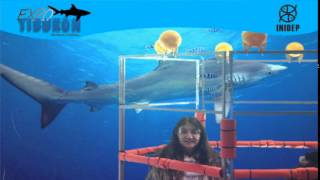 DIA 2 Expo Tiburon290