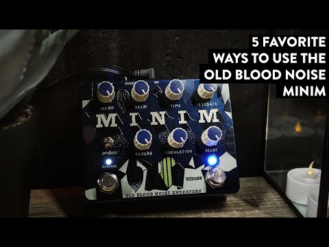 Old Blood Noise Endeavors Minim Reverb/Delay and Reverse - Your Ambient Dream Machine
