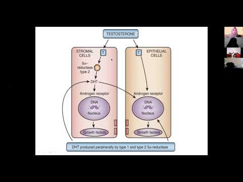 Prostatitis potenciális kezelés