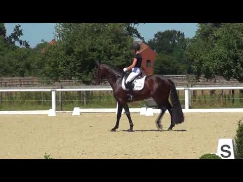 FÜRST WILLIAM OLD & Beatrice Buchwald - 2. WM-Sichtung 2018