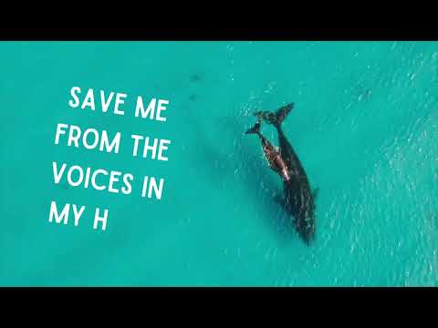 EGGSTA ft. Zic Music & Omojo - Voices In My Head (Official Lyric Video)