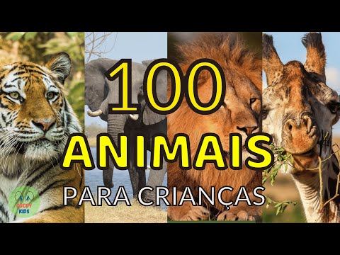 100 animais INCRÍVEIS para crianças - Conhecendo os animais reais!