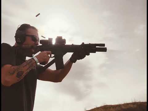 Sig Rattler SBR with Suppressor. FRT installed. 