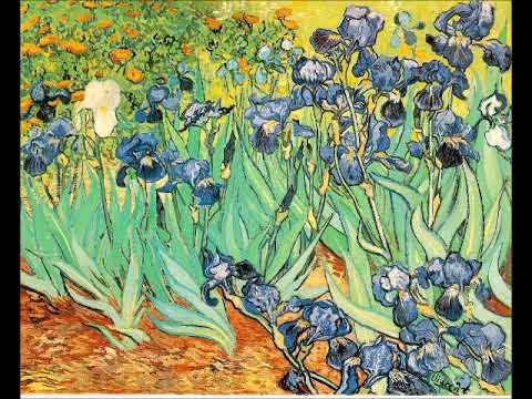 Julius Röntgen (1855-1932) :  Symphony Nº8 in C sharp minor (1930)