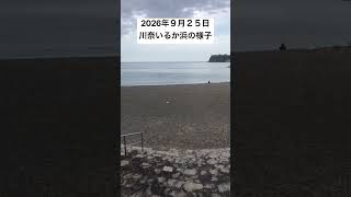 2026年９月２５日川奈いるか浜の様子