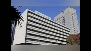 🔥「トレカ市場に激震⚡自民党が本格始動！偽造＆転売問題解決へ“新ルール”制定か🃏🚨」