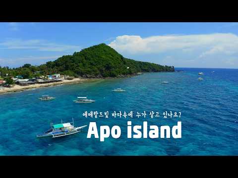 [Dumaguete Day 2] 400 species of coral and 650 species of marine life all in one place! Song Hyun...