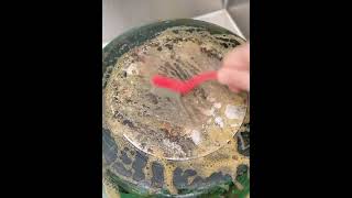 Sada 3 čistících kartáčků 17cm
