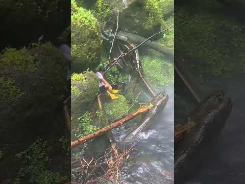 cascada la Carolina en la parroquia Alto Tambo del cantón San Lorenzo #Esmeraldas #turismoecuador