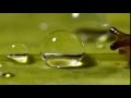 Slug shocked by water droplet
