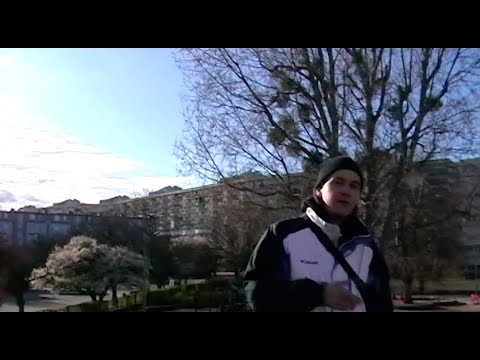 atz_wiadrowski_STRIT *tyfytyfy Hamer Kot