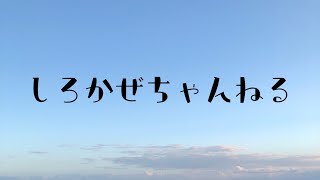 APEX　PS4からPCに移行！