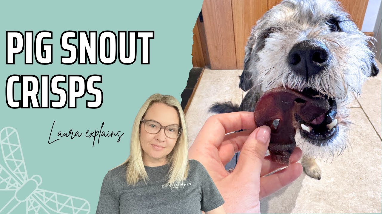 Pig Snout Crisps for Dogs | Video