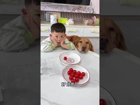 The baby is divided very well. Don’t divide it next time. Family daily life. Raising a baby afte