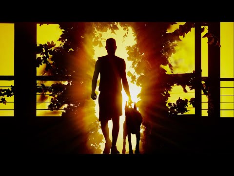 Video thumbnail for Mowgli