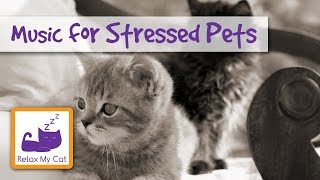 MUSIC FOR PETS Relaxing Music for Stressed or Anxious Pets. Cats, Rabbits, Guinea Pigs 🐱 #STRESS06