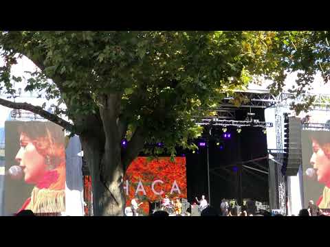 Ithaca "Camera Eats First" at Aftershock 2023