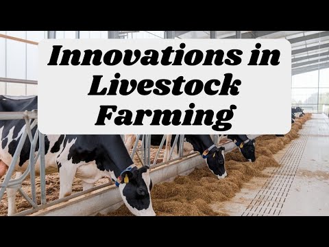 Innovations in Livestock Farming: How Tech is Improving Animal Welfare