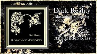Dark Reality - 1995 - Blossom of Mourning [Full Album]