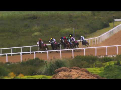 BOLD RESOLVE - RACE 7 #fairview 18-11-2022