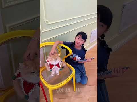 😳🐱 Gerçek Kediyi Sadece Biri Tanıdı! 😂