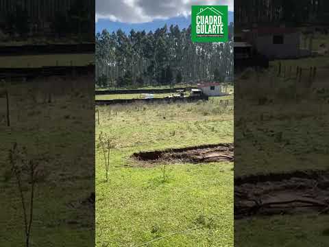 Vista de zona rumbo a ruta 27 - Rivera Uruguay.