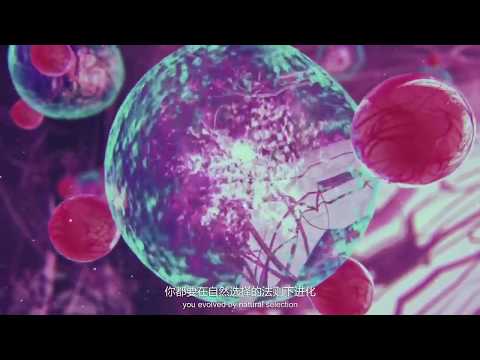 Talking About a Revolution : Life in the Age of Artificial Intelligence