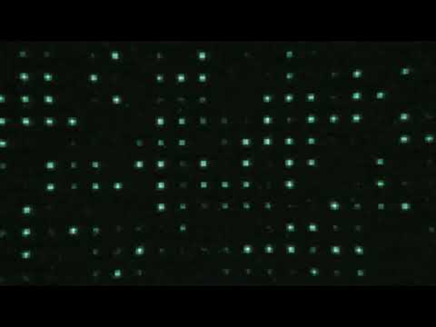 Timur Haisyn - Dreamy Abstraction