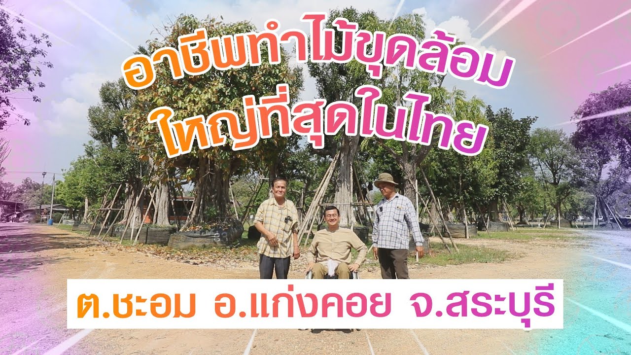 หมู่บ้านทำไม้ขุดล้อม
