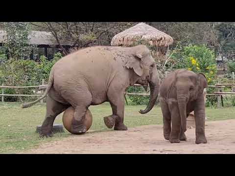 Good time for mother and daughter, free to play and enjoy their life.