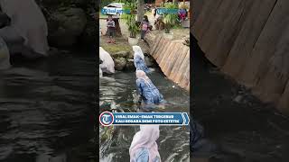 Download lagu Viral Emak-emak Kecebur Kali Gegara Demi Foto Estetik mp3 Download lagu Viral Emak-emak Kecebur Kali Gegara Demi Foto Estetik mp3