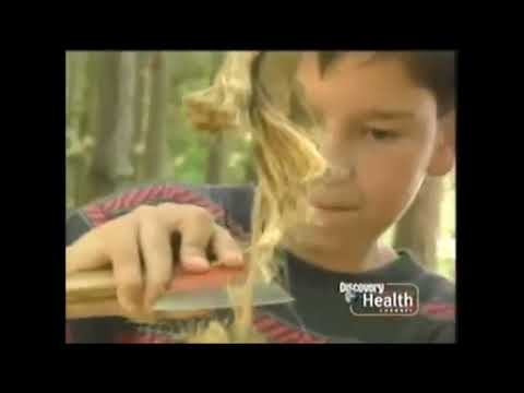 Rescue 911 -  Best buddy rescue