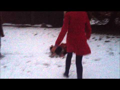 Un très étrange Potter