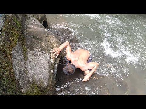 BACK to BACK! - PALOS HUNTING CHALLENGE BEGUN!