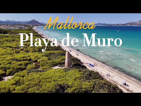 Playa de Muro | Mallorca | DJI Flip & Insta360 X4 Footage
