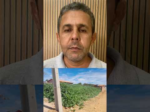 ÁREA RURAL O URBANA? Em Palmas de Monte Alto com área urbana com aparência de área rural.