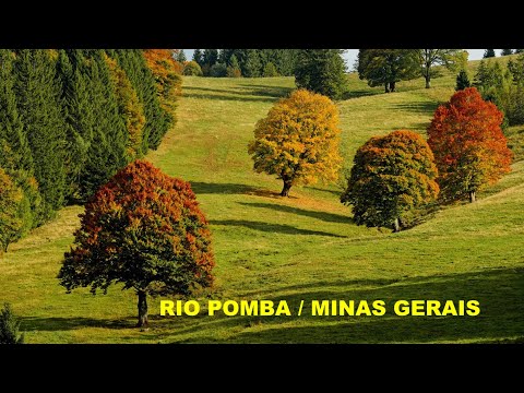 RIO POMBA/ MINAS GERAIS