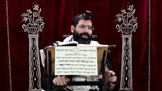 זבחים דף מ' ע''א ¤ הרב נתנאל אברז'ל ¤ בית הכנסת "בית מרדכי" (מוסדות תורת דוד) - התמונה מוצגת ישירות מתוך אתר האינטרנט יוטיוב. זכויות היוצרים בתמונה שייכות ליוצרה. קישור קרדיט למקור התוכן נמצא בתוך דף הסרטון