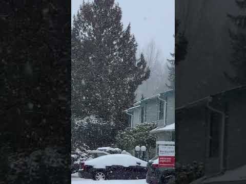 Tết in Seattle 02/13/2021