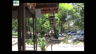 Curió Suricato Fº 480 - 3º lugar com repetição