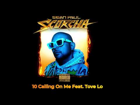 10 Sean Paul - Calling On Me Feat. Tove Lo