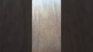 You Me at Six - Miracle in the Mourning