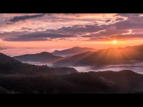 Urs Wild - MORGENTAU